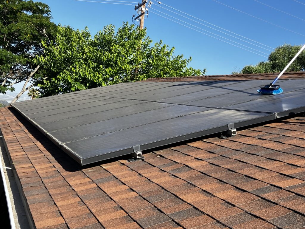 Lichen, pollen and moss impact your solar panels output